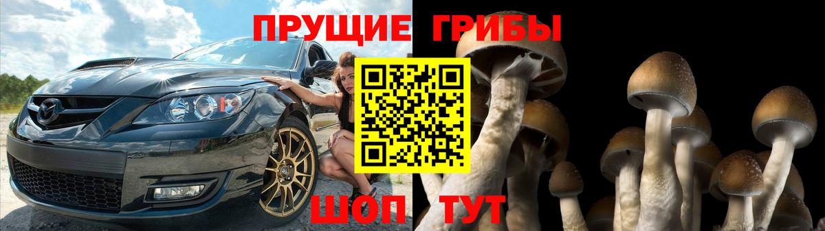 Галлюциногенные грибы GOLDEN TEACHER  Псилоцибиновые грибы прущие грибы  Вход с VPN  Людиново 